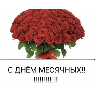 Sticker from вип топ  я знаю
