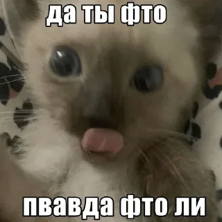 🌟 emoji киты Telegram sticker 11 of 68