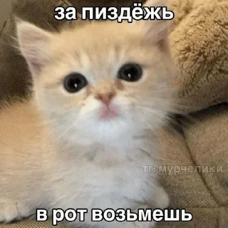 🌟 emoji киты Telegram sticker 13 of 68