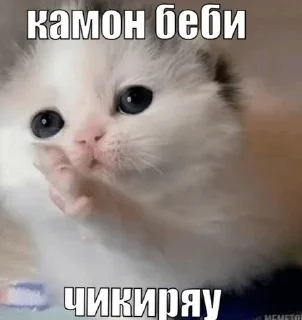 🌟 emoji киты Telegram sticker 6 of 68