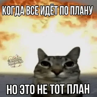 🌟 emoji киты Telegram sticker 24 of 68