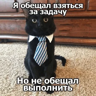 🌟 emoji киты Telegram sticker 23 of 68