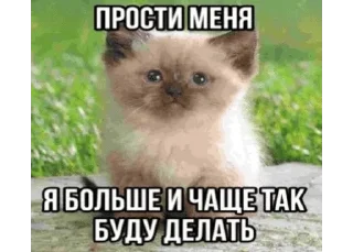 🌟 emoji киты Telegram sticker 21 of 68