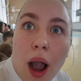 😱 emoji Светлана, а твою мать Telegram sticker 2 of 19