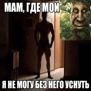 🌳 emoji Дуб🌳 Telegram sticker 13 of 25