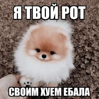 😏 emoji узбеки Telegram sticker 17 of 96