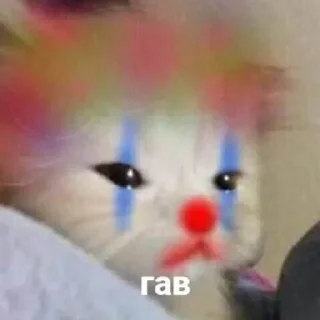 😢 emoji Коты by @offstikbot Telegram sticker 20 of 89