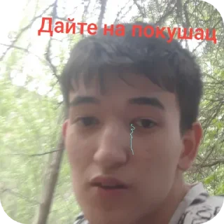 🙂 emoji Далер ищяк pig slaying | @SHMEKELI Telegram sticker 4 of 36
