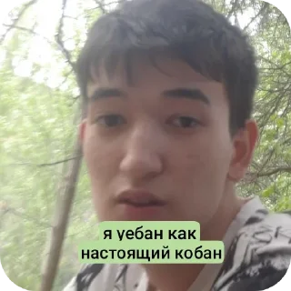 👍 emoji Далер ищяк pig slaying | @SHMEKELI Telegram sticker 8 of 36