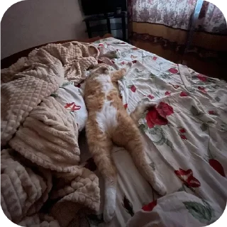 😴 emoji Мем года Telegram sticker 5 of 25