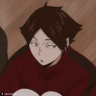 💒 emoji чистые лапки Telegram sticker 14 of 49
