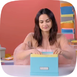 Sticker from Camila Mendes🐾