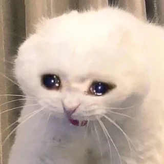 😭 emoji Капец это че Telegram sticker 17 of 40