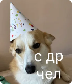 🙄 emoji Че то хз Telegram sticker 2 of 17
