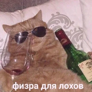 😎 emoji Милые пикчи. Telegram sticker 10 of 35