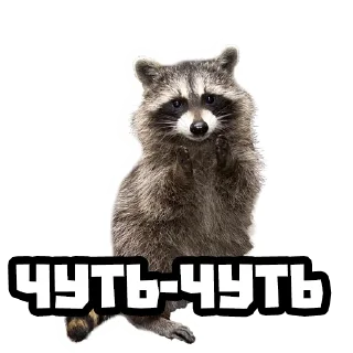 🤏 emoji Еноты @stickernayaa Telegram sticker 10 of 25