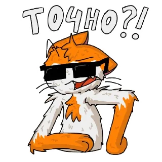 🤨 emoji Kitten with glasses Telegram sticker 3 of 15
