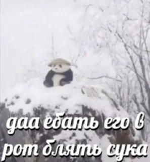 😞 emoji Да вы поахуевали бляди Telegram sticker 7 of 77