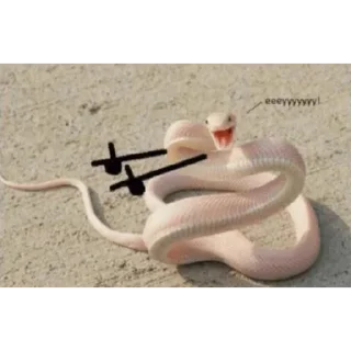 🐍 emoji Mo Telegram sticker 16 of 37