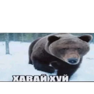 🐶 emoji Classic Block Memes Telegram sticker 16 of 120