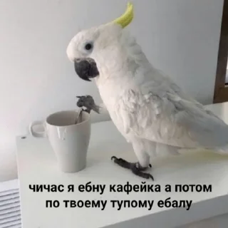 ☕️ emoji Шутки за 299 Telegram sticker 7 of 78