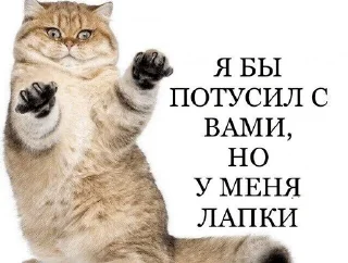 👣 emoji Шутки за 299 Telegram sticker 23 of 78