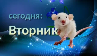 Sticker from Дни недели [ @rv0taenota ]