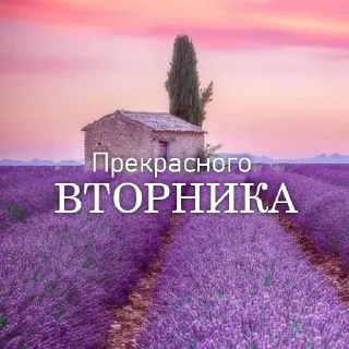 💜 emoji Дни Недели Telegram sticker 9 of 36