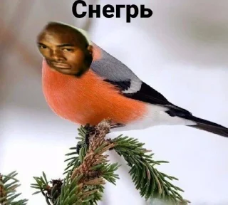 🍇 emoji Лол кек чебурек Telegram sticker 17 of 67