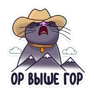🌄 emoji Кот Сима :: @stickroom Telegram sticker 5 of 49
