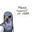🤢 emoji Голубь Геннадий Telegram sticker 20 of 30
