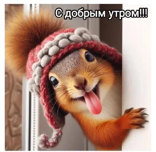 🌟 emoji Eichhörnchen-Aufkleber Telegram sticker 7 of 40