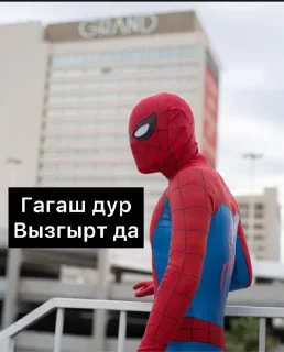 🕸️ emoji Spiderman Telegram sticker 7 of 45