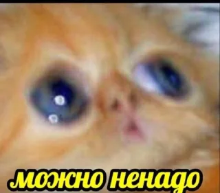 Sticker from РандомПак