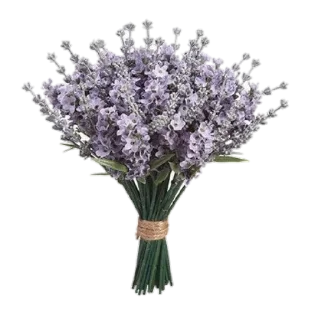 🪻 emoji Кпоп Telegram sticker 11 of 68
