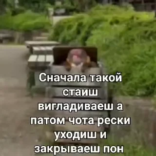 🤕 emoji Я не умру в туалете.. Telegram sticker 8 of 21