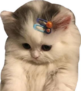 ☺️ emoji Cute Telegram sticker 20 of 120