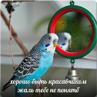 ☠ emoji На случай важных переговоров Telegram sticker 17 of 46