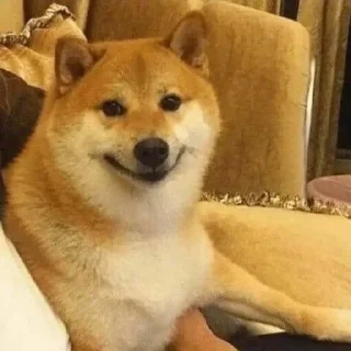 😂 emoji Memes Telegram sticker 12 of 102