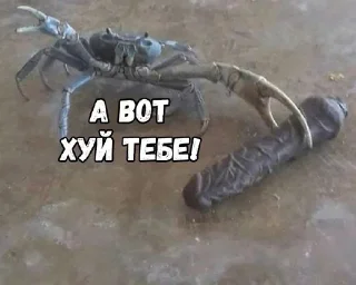 😘 emoji для важных переговоров Telegram sticker 13 of 96