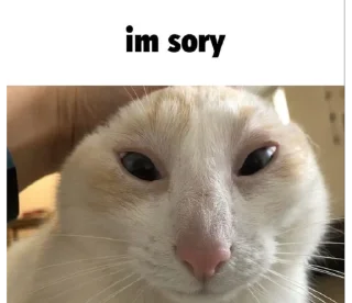 🧎‍♀️ emoji Пизда Telegram sticker 9 of 40