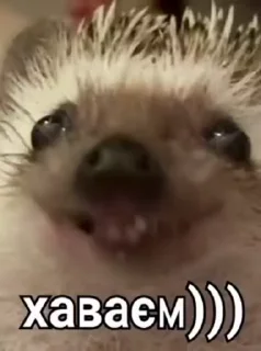 Sticker from jdan734's gifs