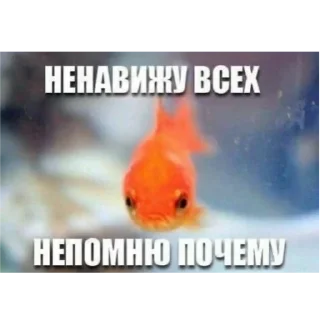 🔁 emoji донбас скорбіт Telegram sticker 10 of 47