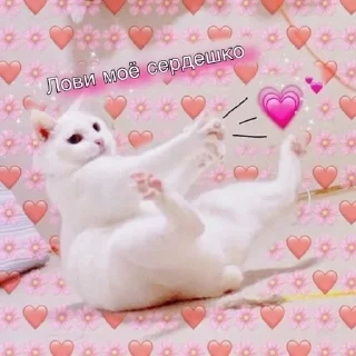 💕 emoji 💕💞💓💗💖💘💝🛍 Telegram sticker 9 of 103