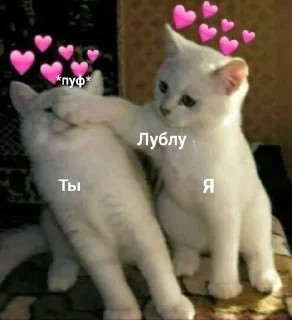 ❤ emoji трахни меня Telegram sticker 11 of 63