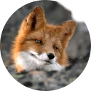 Sticker from Foxes