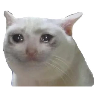 💟 emoji Дана Telegram sticker 14 of 30