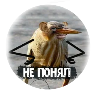 😏 emoji @TVstickers Cheers Telegram sticker 17 of 52