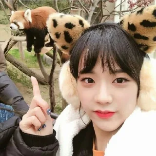 🌟 emoji Jisoo Telegram sticker 5 of 72