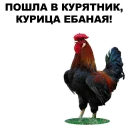 👉 emoji Петушары @eeZee_stickers Telegram sticker 21 of 42